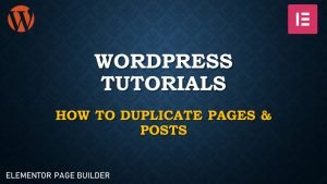 Read more about the article How to Duplicate Pages & Posts in WordPress