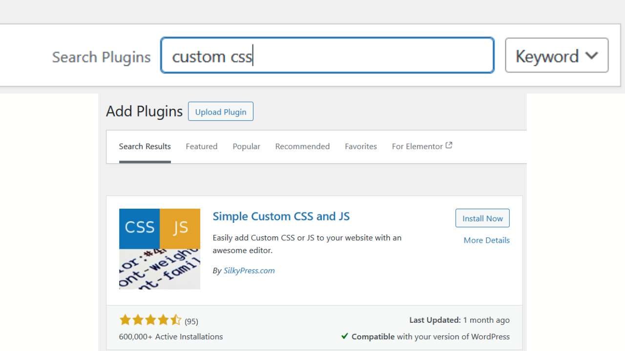 4. Searching Custom Css Code Plugin