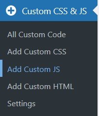 2. Add JS Code Snippet